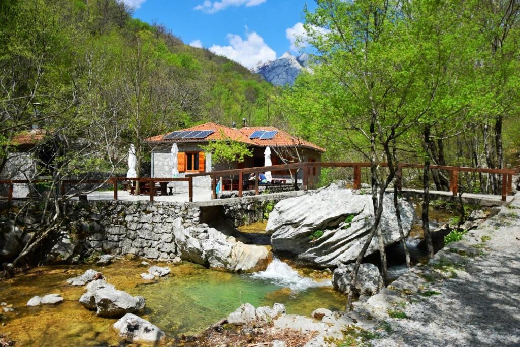 Apartmani Tomić Seline Zewnętrze zdjęcie